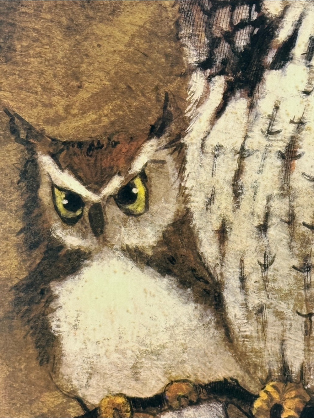 Vintage Richard Hinger “Screech Owls” 1970’s wood framed print. - Picture 3 of 13